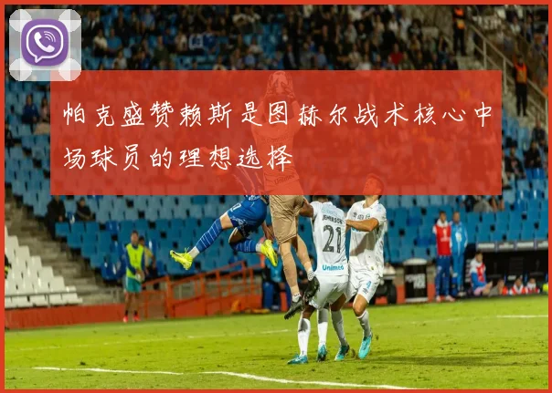 帕克盛赞赖斯是图赫尔战术核心中场球员的理想选择