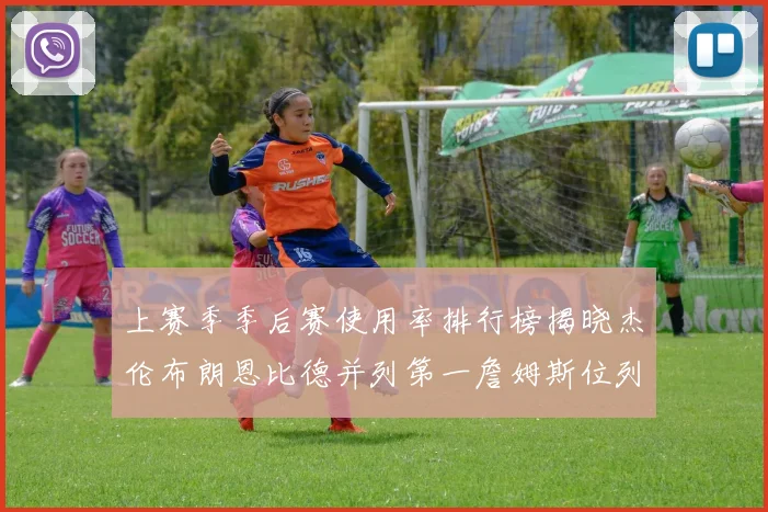 上赛季季后赛使用率排行榜揭晓杰伦布朗恩比德并列第一詹姆斯位列第九